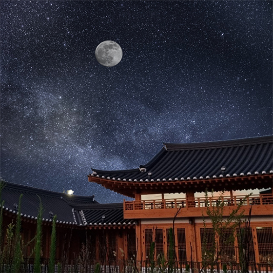 가을 축제 : 가을 여행