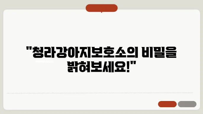강아지보호소 여기에선 입양할 수 있어요