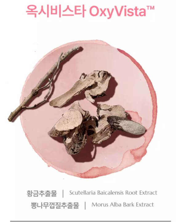 공중부양샴푸의-성분에-대해서-알려주고-있습니다.