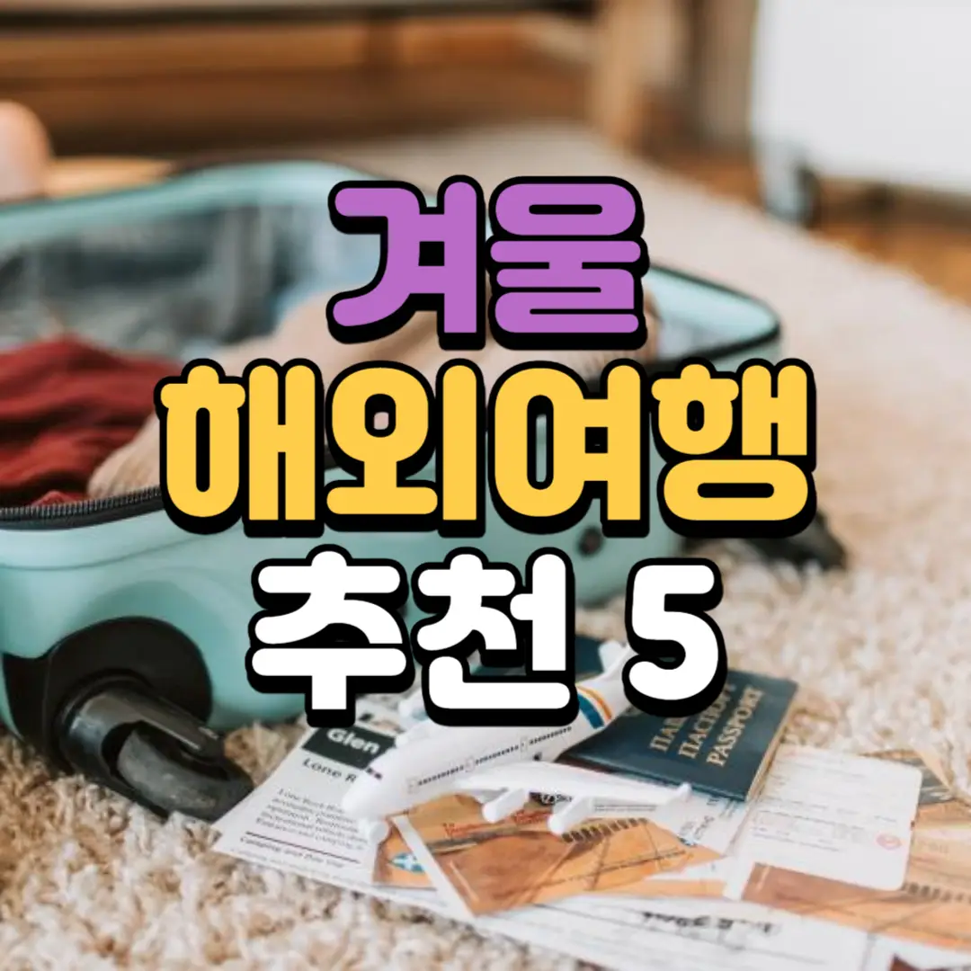 겨울 해외 여행 추천 5곳 (가족여행) 치안이 좋고 따듯한 나라