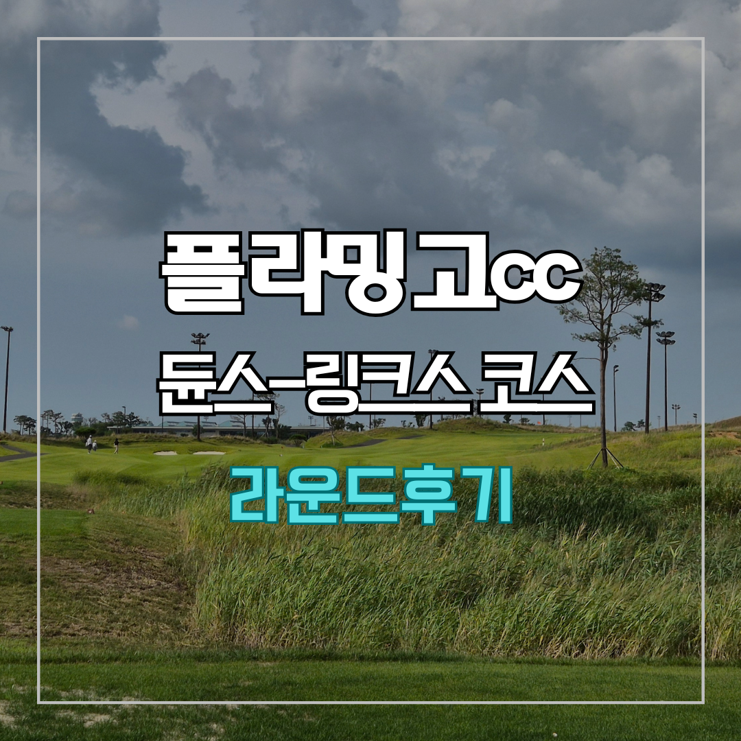 플라밍고cc 듄스-링크스 코스 라운드 후기
