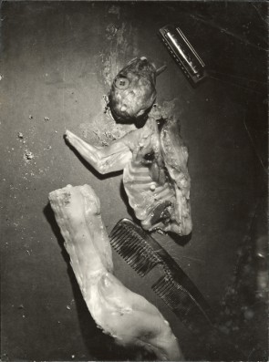 Kaninchen mit Kamm und Mundharmonika by Wols