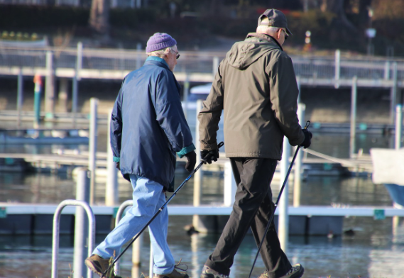 기초 노령연금 수급자격과 신청방법 완벽 가이드