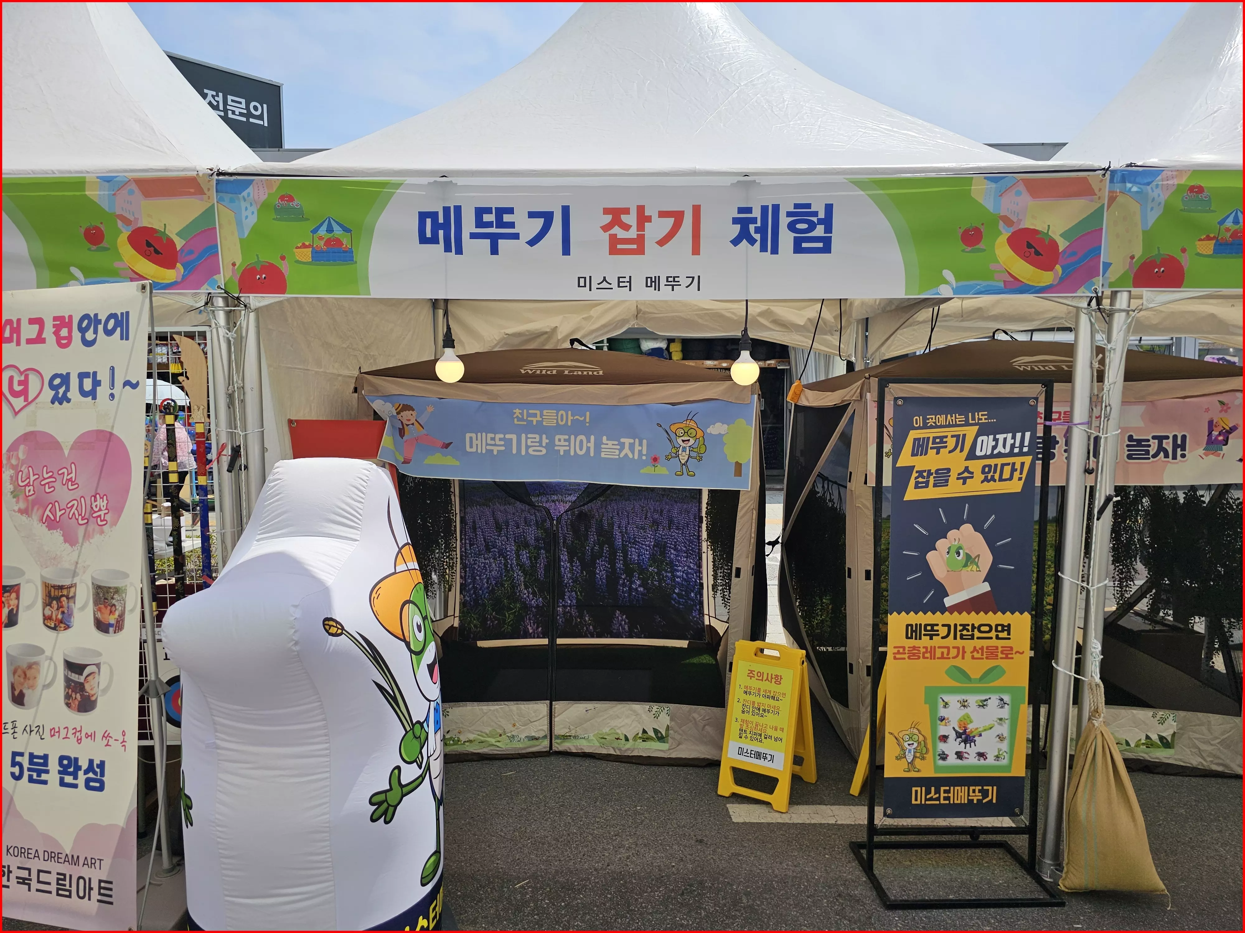 퇴촌 토마토 축제