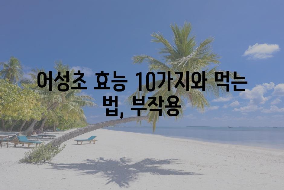 샘플 (79)