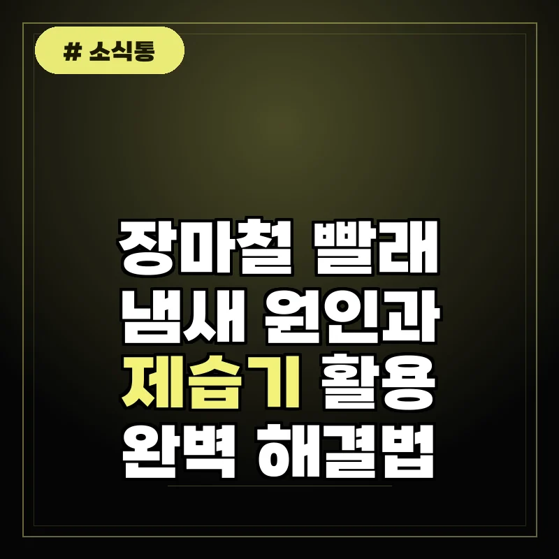 제습기 고민하던 30대 주부 인터뷰, 이 기능 하나로 빨래 냄새 완벽 해결