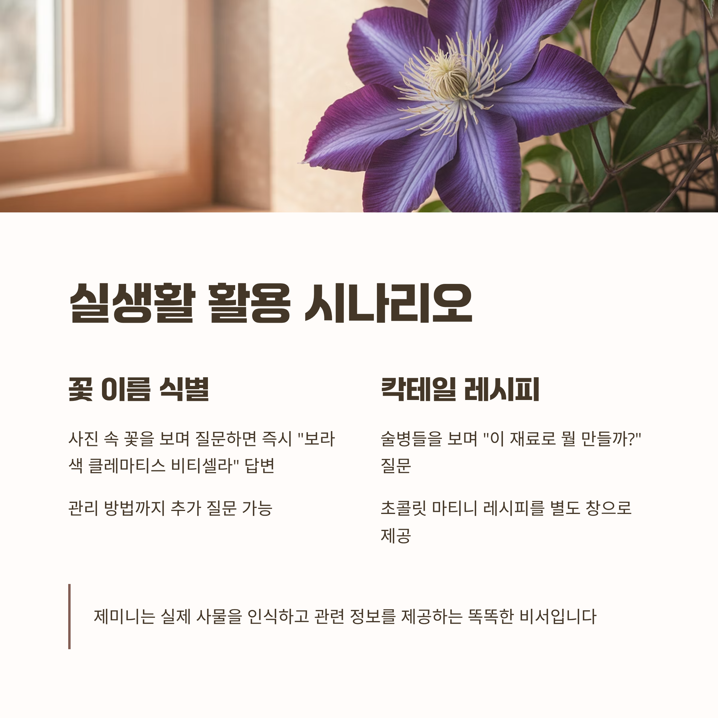 궁금한 꽃 이름부터 칵테일 레시피까지, 실생활 속 AR 활용 시나리오
