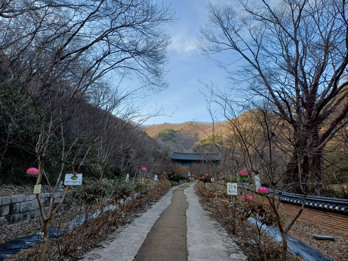 보성대원사 템플스테이