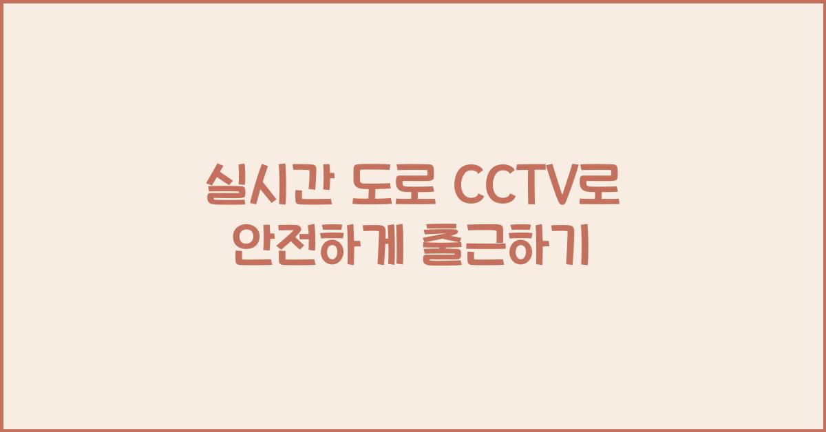 실시간 도로 cctv