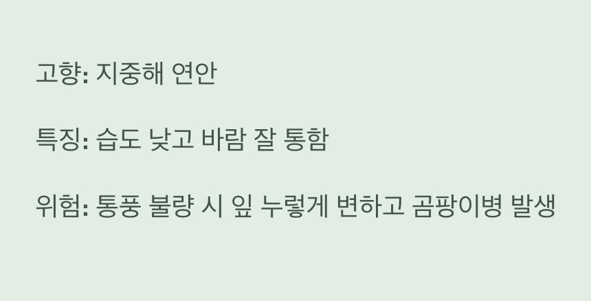 '시원한 바람'이 최고의 보약