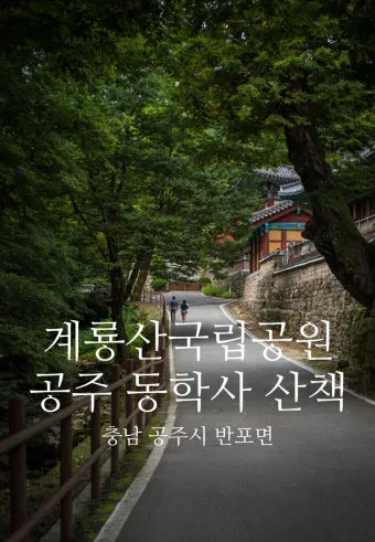 공주 가볼만한곳 맛집 카페 추천 실내 사진 명소_14