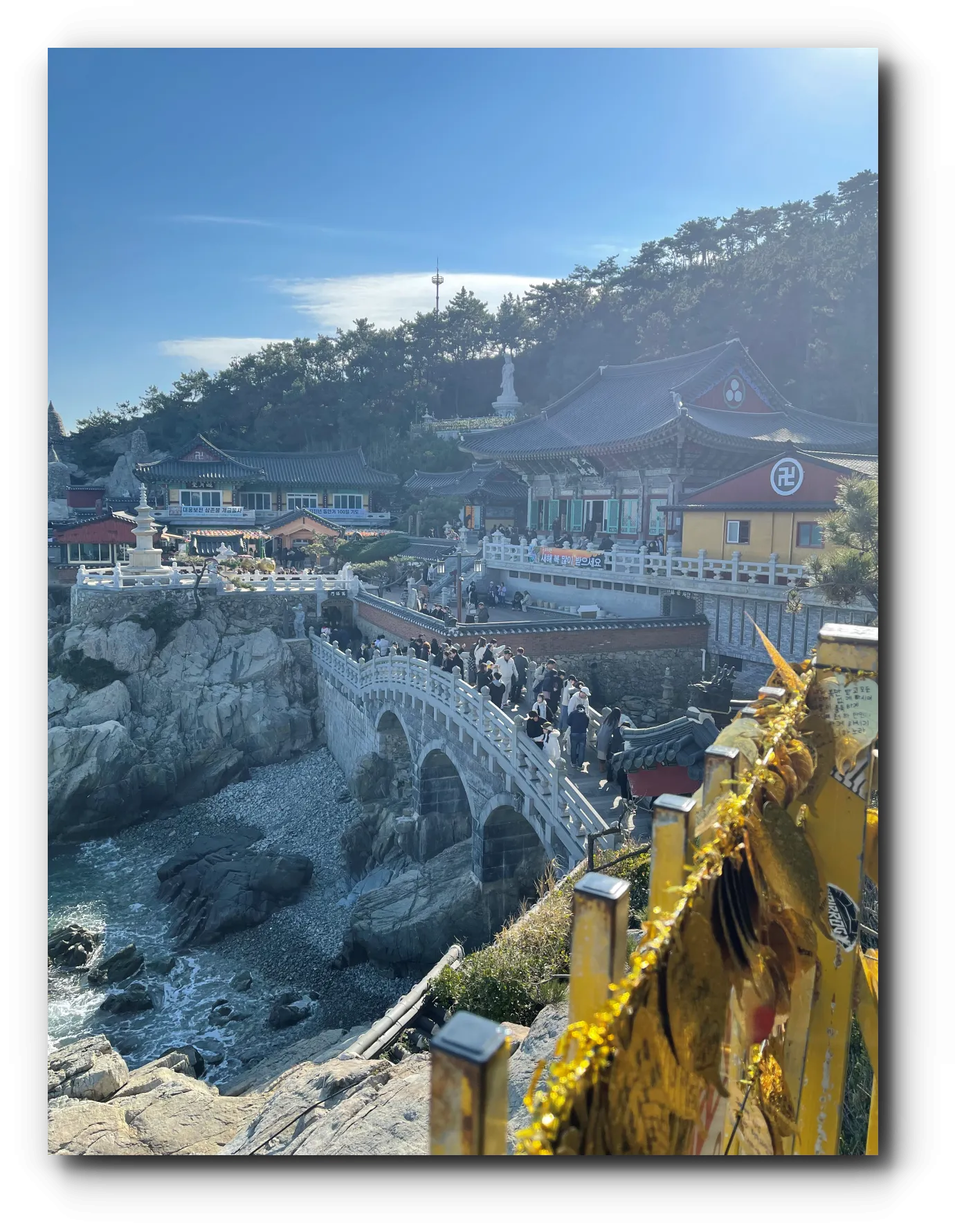 전체적으로-보이는-해동-용궁사의-절경