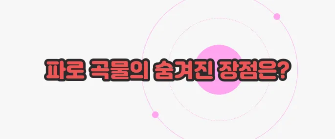 파로 곡물 효능 한 번 정리해볼까요