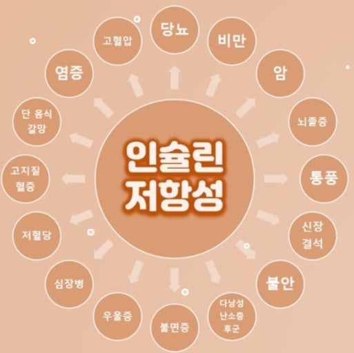 인슐린 저항성 낮추는 방법 (당뇨예방을 위한 생활습관 가이드) 관련 사진