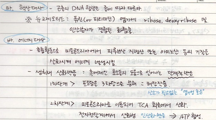 핵산대사, 에너지대사