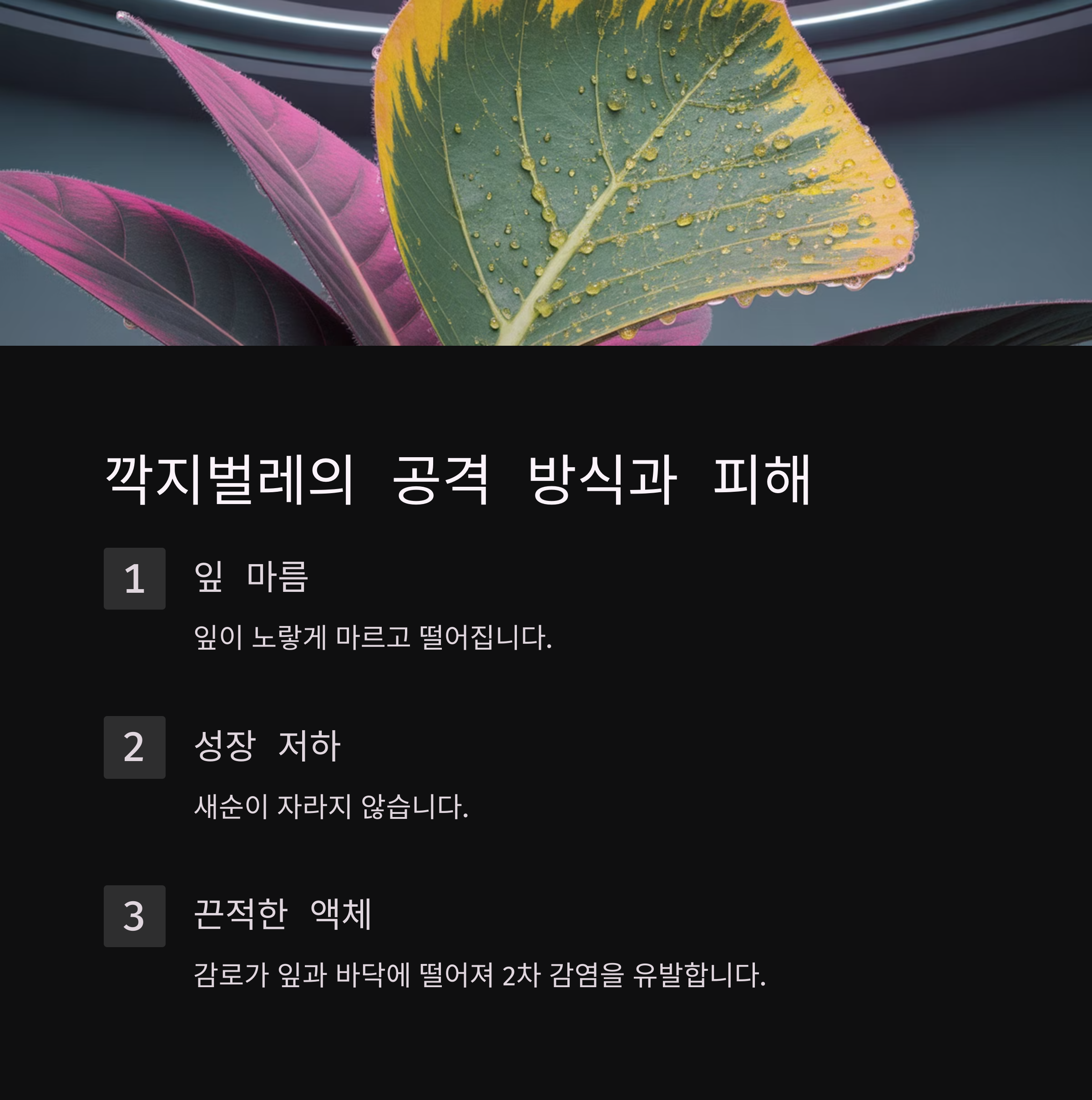 식물마다 다른 피해 양상, 깍지벌레의 공격 방식은?