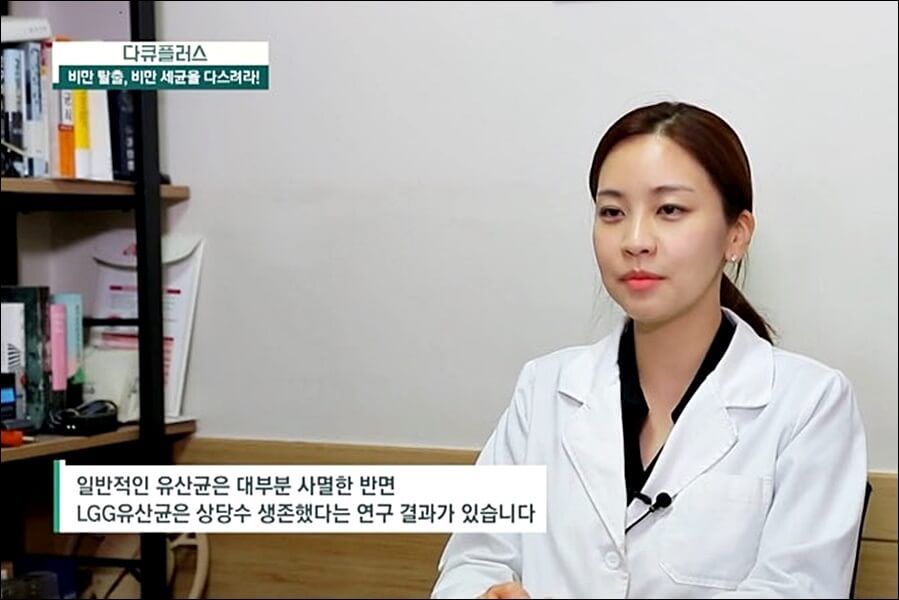 LGG 유산균 추천제품 및 효능