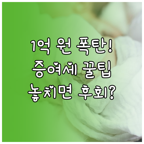 2024년 새로 생긴 출산 입양 증여..