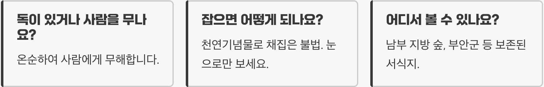 살아있는 보석, 천연기념물 비단벌레에 대한 당신이 몰랐던 5가지 비밀