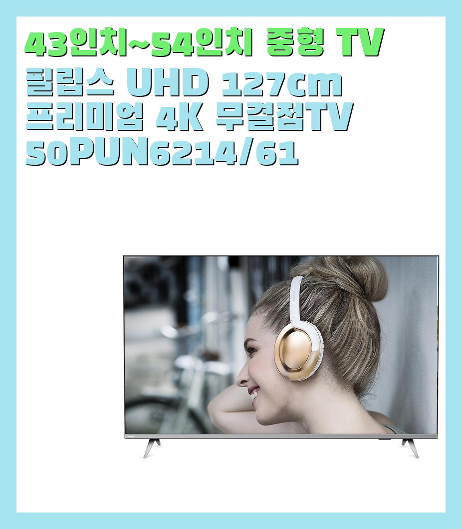 43인치~54인치 중형 TV