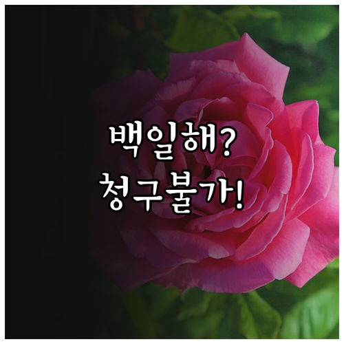 백일해 예방접종비 실손보험 청구 안되..