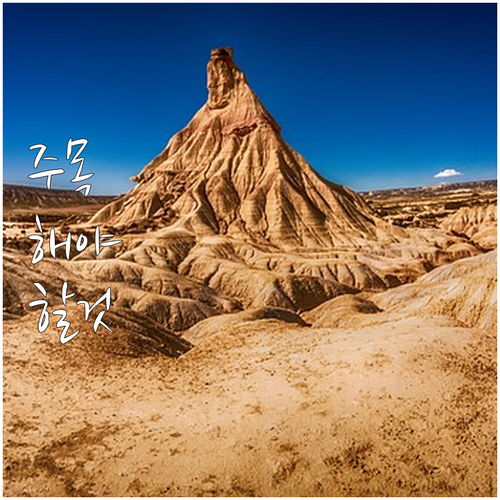 대구 자동차 종합검사 온라인 예약 대..