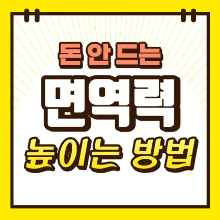 ๋ฉด์ญ๋ ฅ-๋์ด๋-๋ฐฉ๋ฒ-์ธ๋ค์ผ