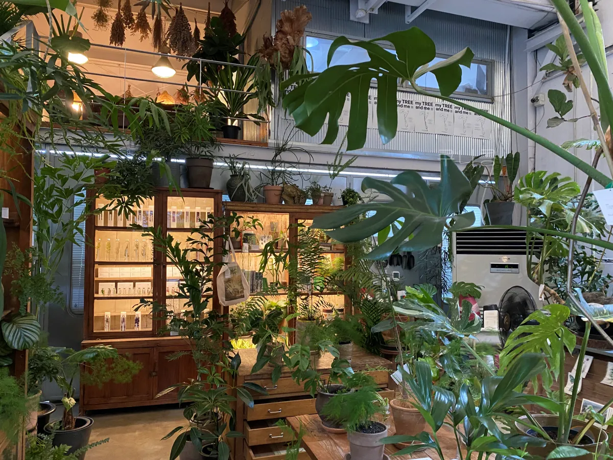 성수-놀거리-추천-식물-구경하기-좋은-가드닝샵-슬로우파마씨