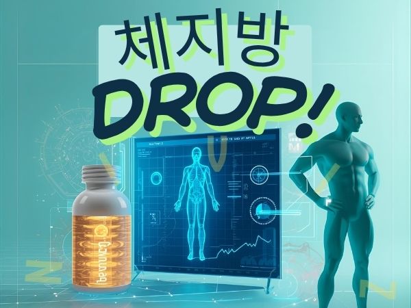 체지방 빨리 빼는 법 과학적으로 증명된 운동·식단 루틴