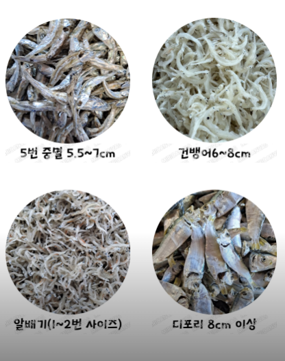 6시 내고향 진도 멸치
