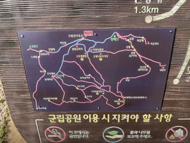 생생 정보통 맛집 오늘방송