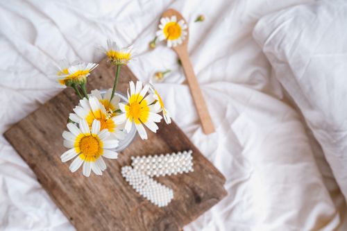 여름철 침대 진드기 관리법: 알레르기 막는 침구 세탁&middot;건조 루틴
