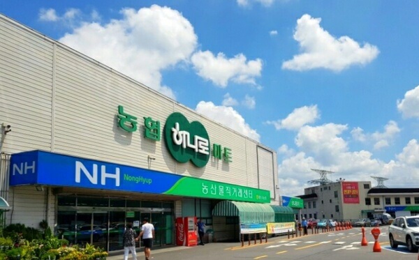 2023년 한우 할인