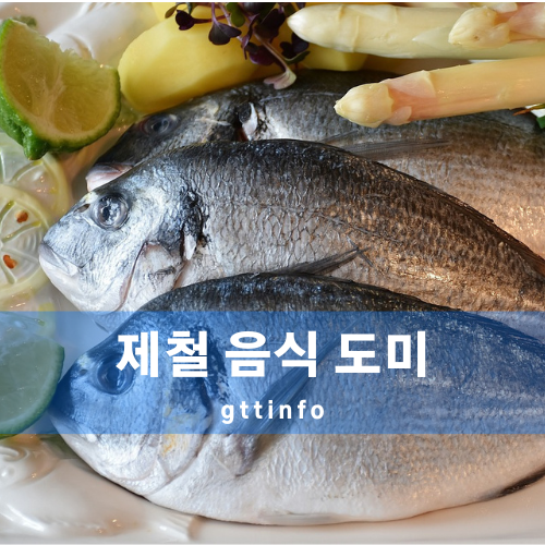 도미의 효능