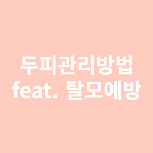 두피관리