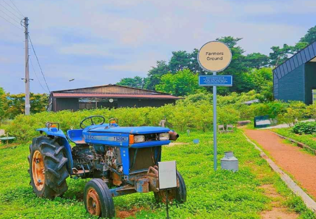 상주 곶감축제 기본정보