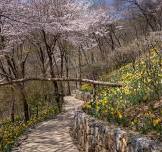 화담숲 예약하기 