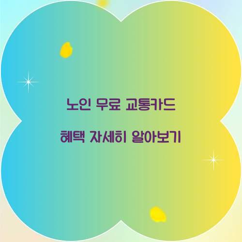 노인 무료 교통카드 혜택