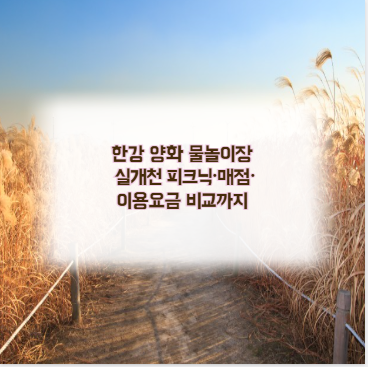 한강 양화 물놀이장 실개천 피크닉&middot;매점&middot;이용요금 비교까지