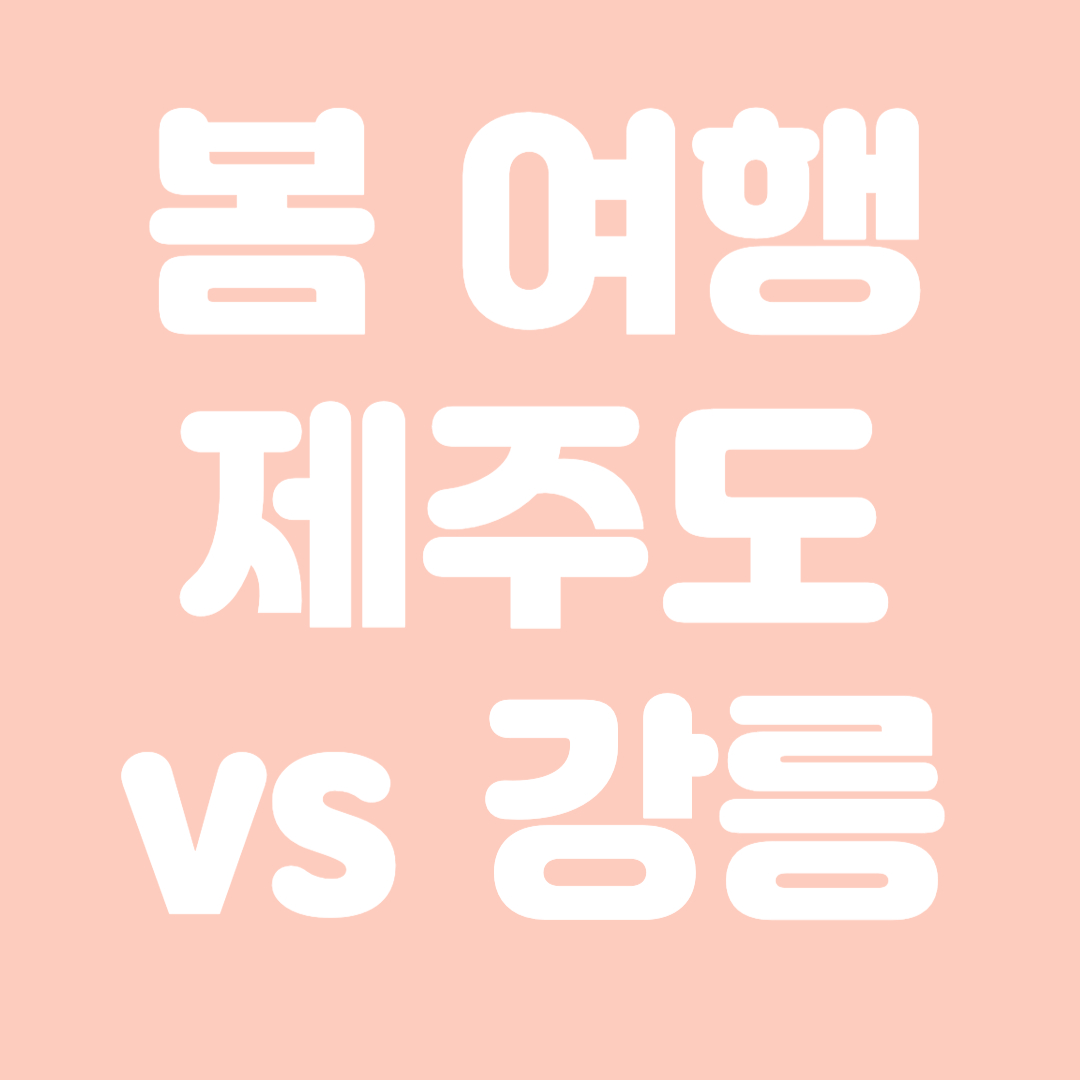 봄 여행 제주도 vs 강릉