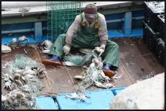 대연평도 배시간표 배편 예매 요금 숙박_6