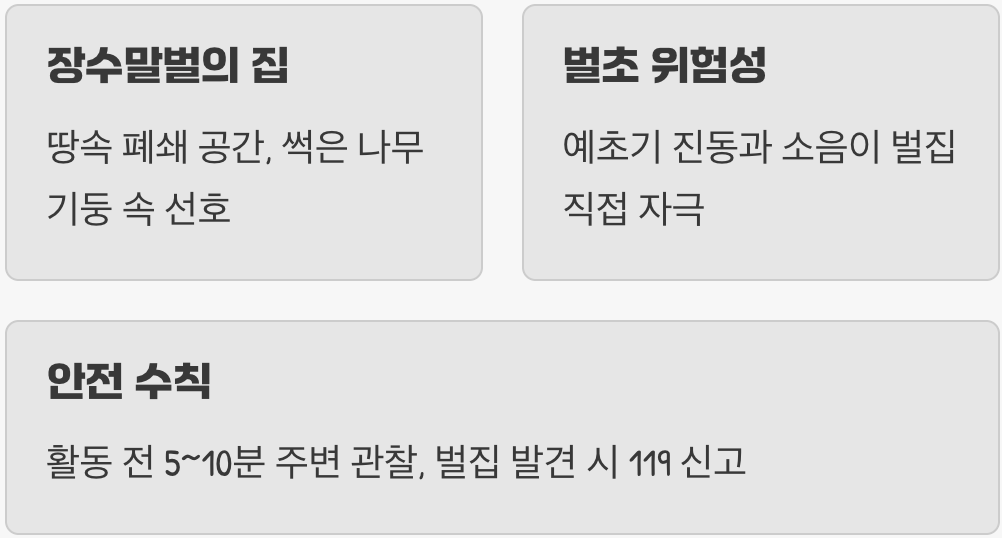 땅속의 지뢰, 숨어있는 벌집 피하기