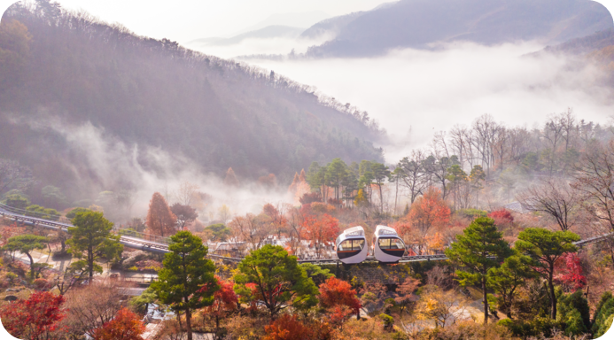 화담숲에서 10월 24일부터 11월 16일까지 단풍 축제가 열린다. [ 사진=화담숲=매일경제]