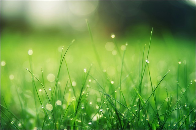 2024년 장마기간 미리보기