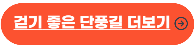 서울 단풍 명소