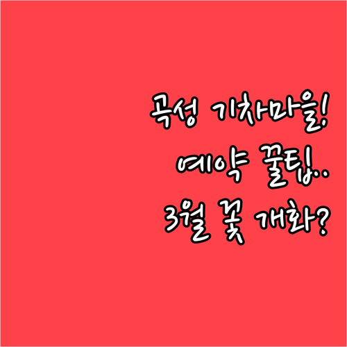 곡성 섬진강 기차마을 증기기관차 예약..