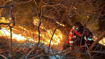 홍성 대전 산불