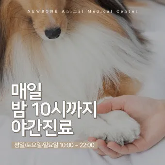 강아지 오래사는 신장관리 비법 생활습관_3