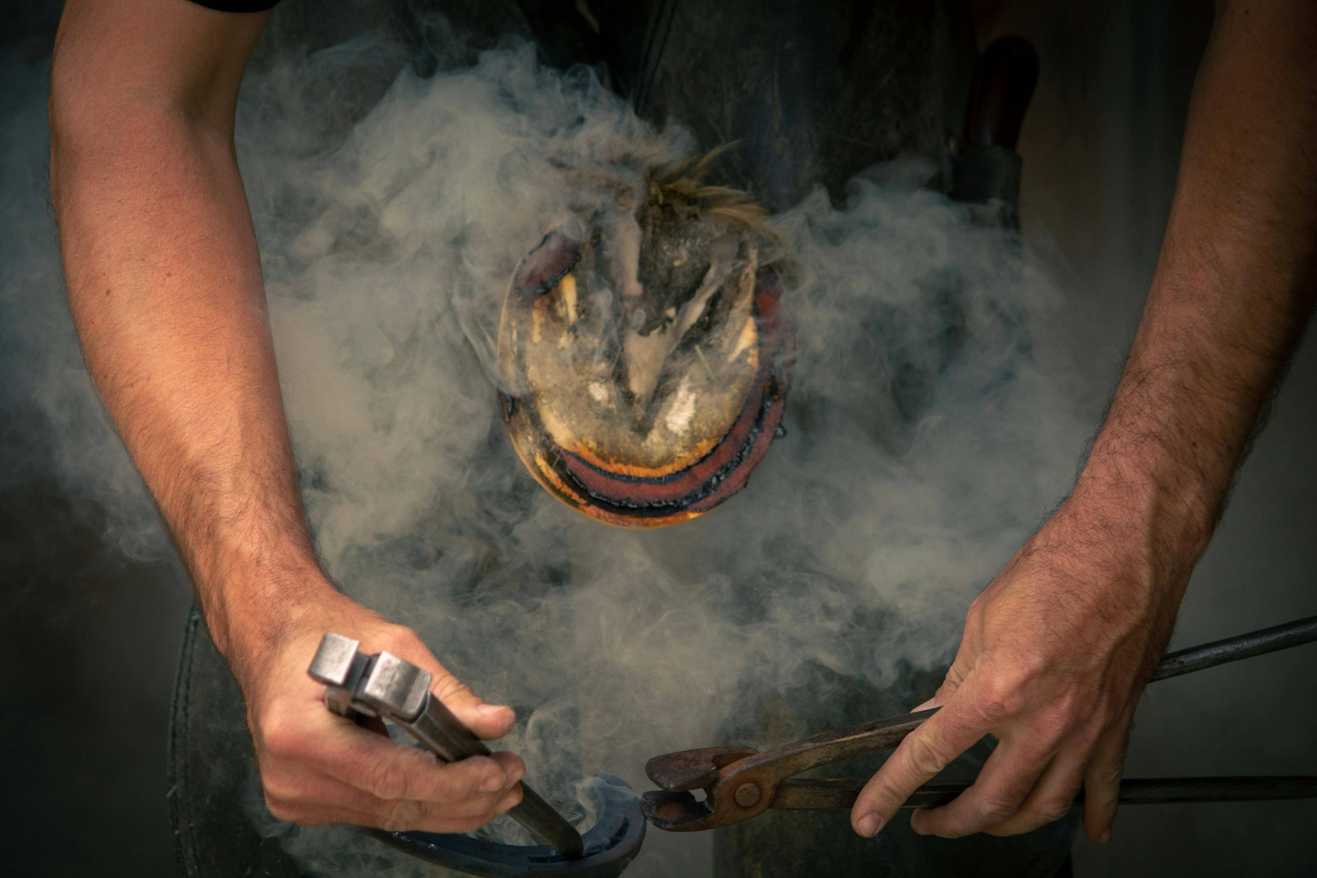 말의 발굽을 책임지다: 말 장제사에 대한 정보와 전망