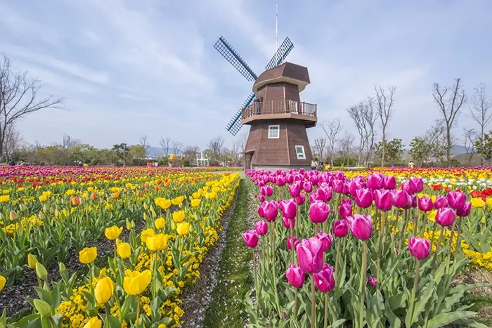순천만-국가정원-입장료-운영시간-요금